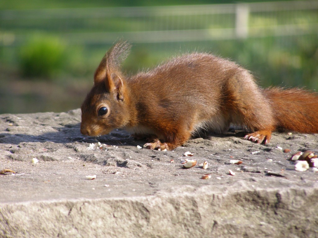 Натиснете снимката за да я уголемите

Име:P3315133.JPG
Прегледи:1
Размер:198.7 КБ
ID:5217898