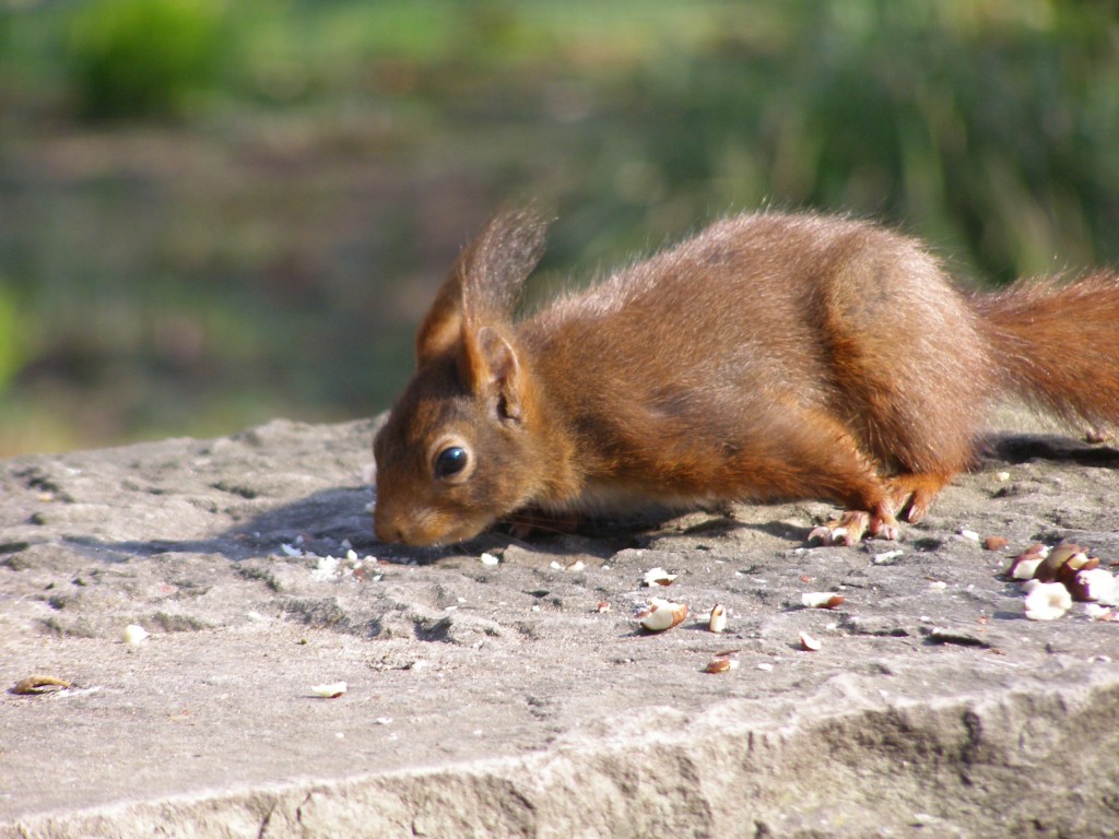 Натиснете снимката за да я уголемите

Име:P3315132.JPG
Прегледи:1
Размер:196.9 КБ
ID:5217899