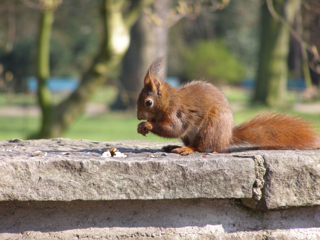 Натиснете снимката за да я уголемите

Име:P3315127.JPG
Прегледи:1
Размер:191.7 КБ
ID:5217900