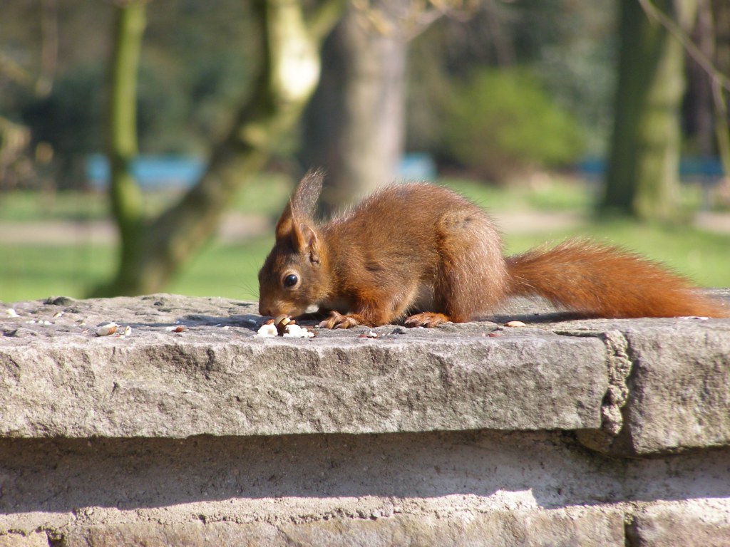Натиснете снимката за да я уголемите

Име:P3315129.JPG
Прегледи:1
Размер:190.5 КБ
ID:5217901