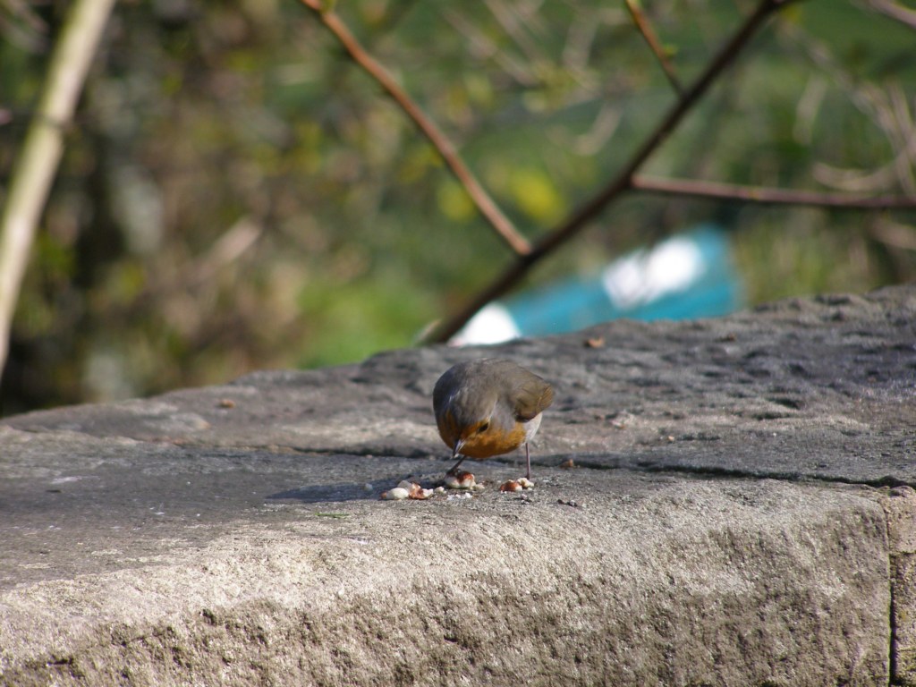 Натиснете снимката за да я уголемите

Име:P3315135.JPG
Прегледи:1
Размер:186.1 КБ
ID:5217903