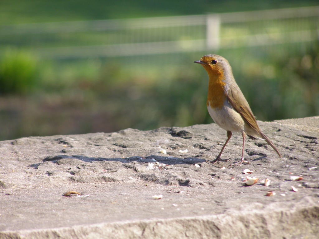 Натиснете снимката за да я уголемите

Име:P3315136.JPG
Прегледи:1
Размер:193.5 КБ
ID:5217904