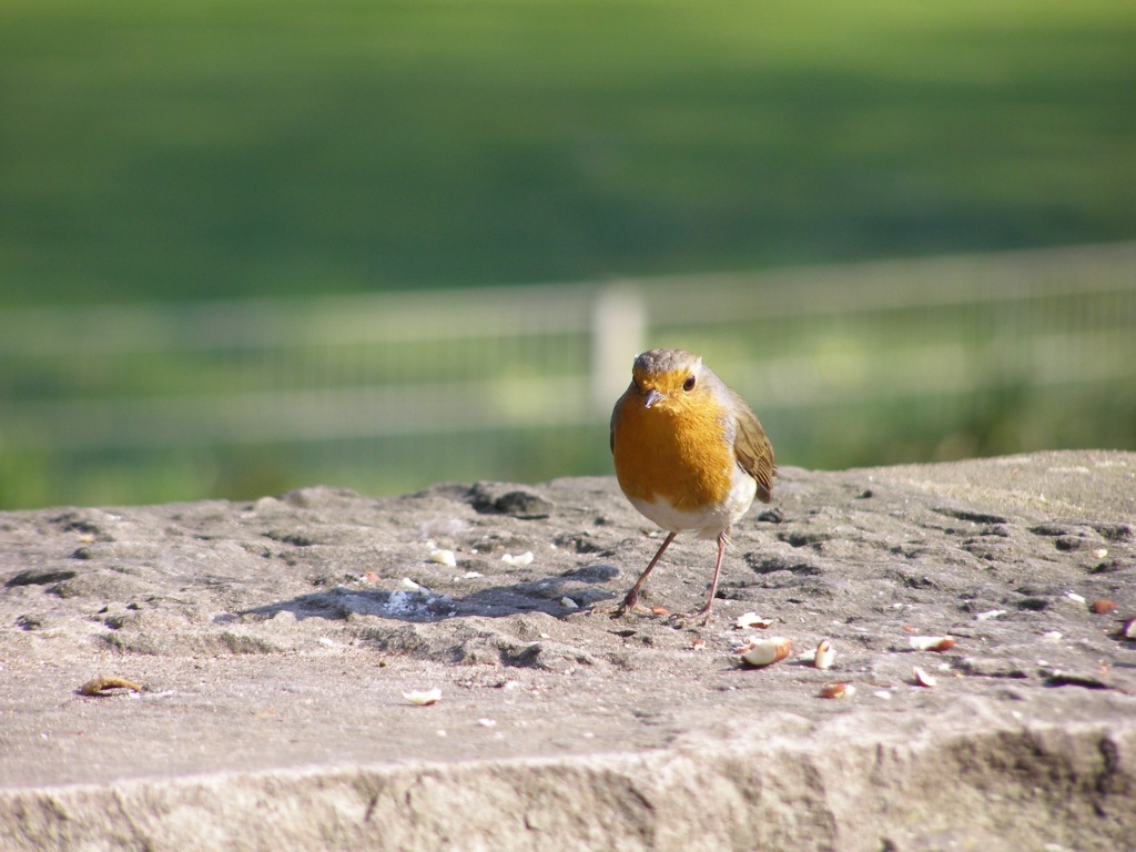 Натиснете снимката за да я уголемите

Име:P3315137.JPG
Прегледи:1
Размер:180.8 КБ
ID:5217905