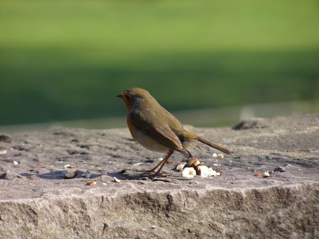 Натиснете снимката за да я уголемите

Име:P3315138.JPG
Прегледи:1
Размер:194.5 КБ
ID:5217906