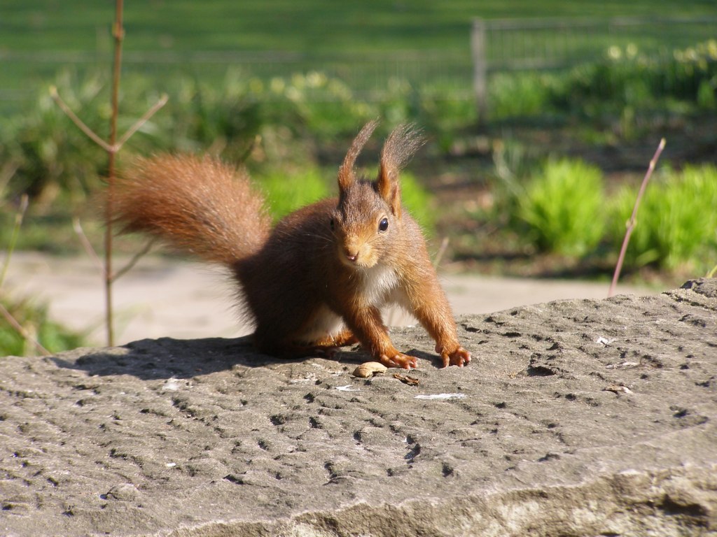 Натиснете снимката за да я уголемите

Име:P3315139.JPG
Прегледи:1
Размер:190.8 КБ
ID:5217907