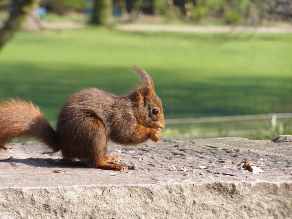 Натиснете снимката за да я уголемите

Име:P3315141.JPG
Прегледи:1
Размер:186.7 КБ
ID:5217908