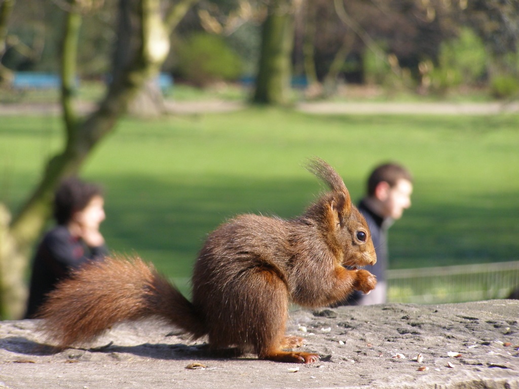 Натиснете снимката за да я уголемите

Име:P3315142.JPG
Прегледи:1
Размер:201.1 КБ
ID:5217909