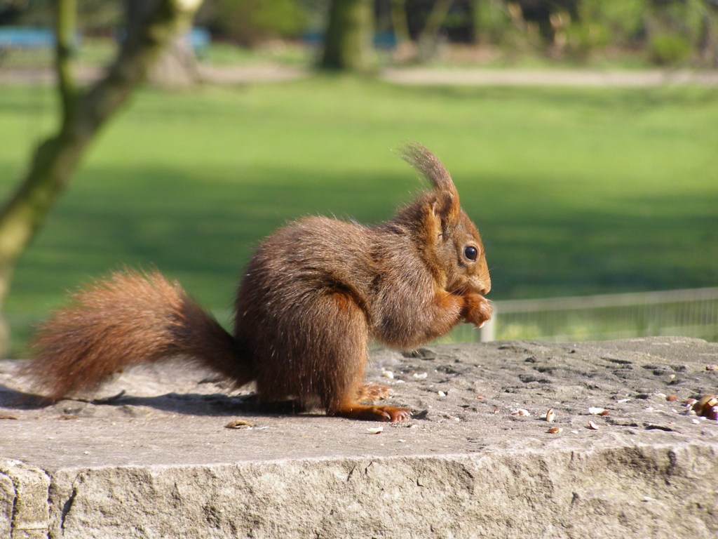 Натиснете снимката за да я уголемите

Име:P3315143.JPG
Прегледи:1
Размер:189.6 КБ
ID:5217910