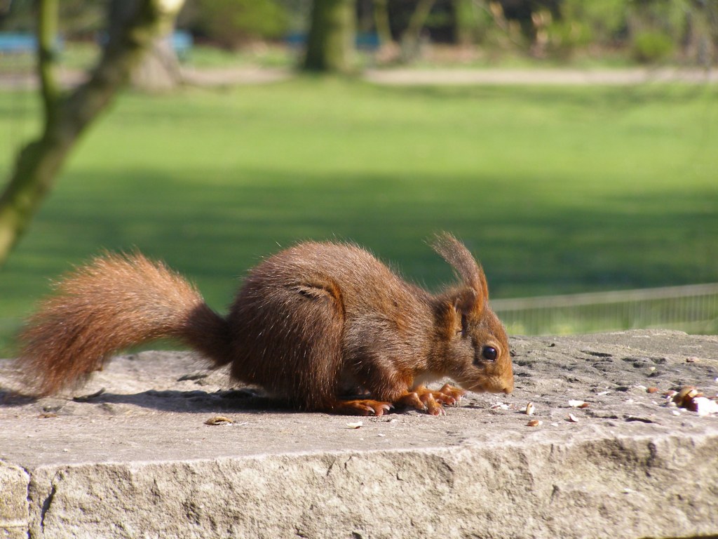 Натиснете снимката за да я уголемите

Име:P3315144.JPG
Прегледи:1
Размер:182.7 КБ
ID:5217911