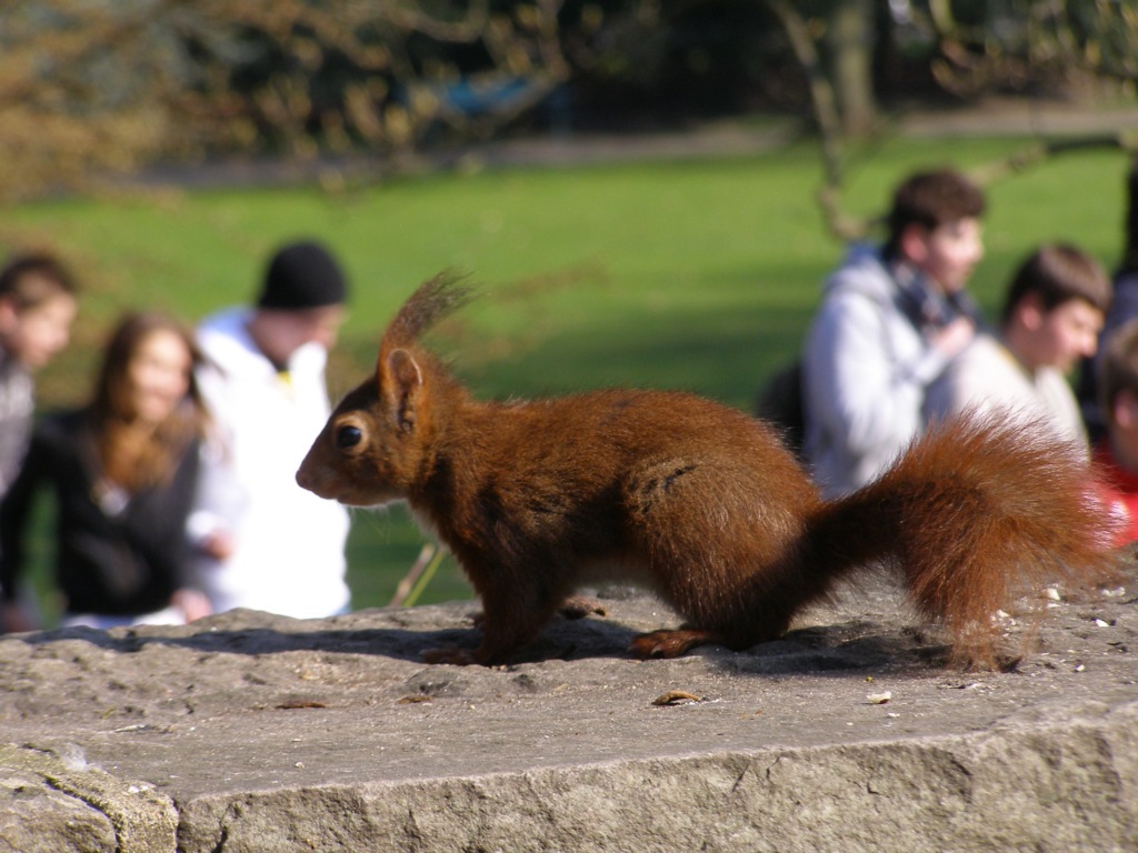 Натиснете снимката за да я уголемите

Име:P3315145.JPG
Прегледи:1
Размер:213.6 КБ
ID:5217912