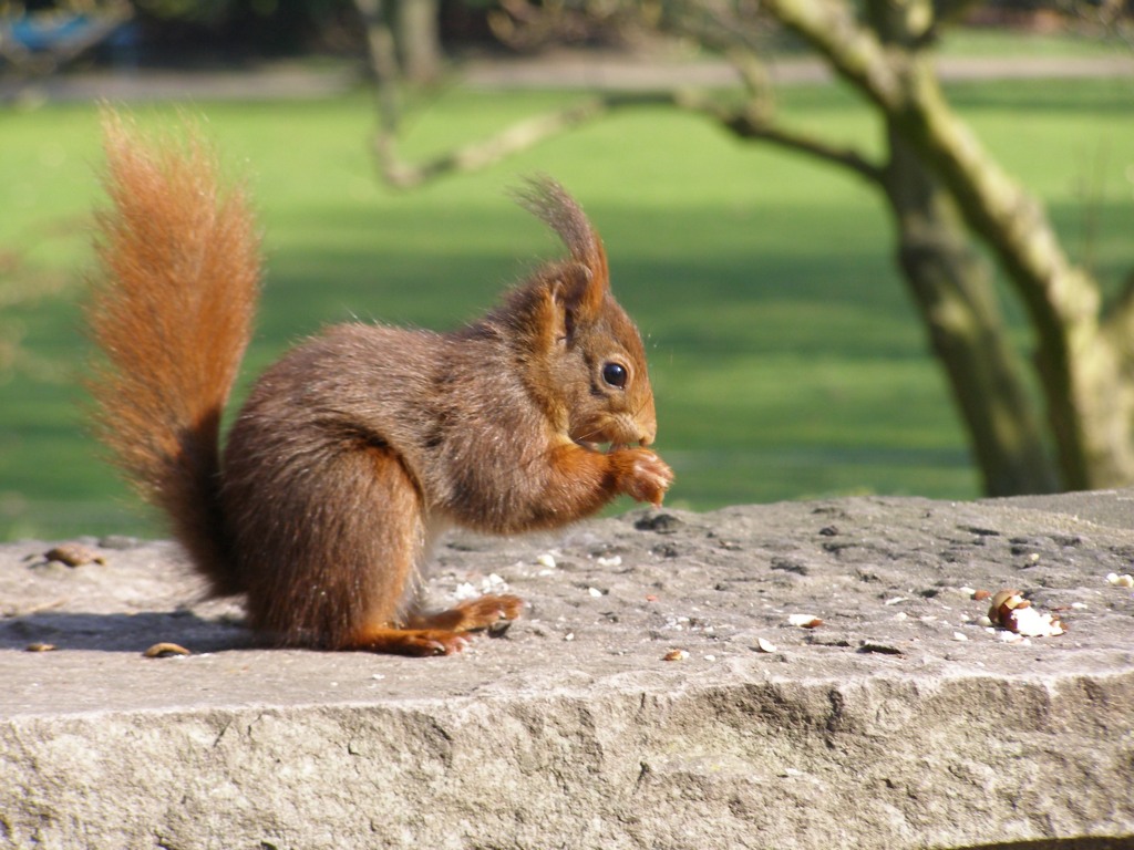 Натиснете снимката за да я уголемите

Име:P3315146.JPG
Прегледи:1
Размер:205.3 КБ
ID:5217913