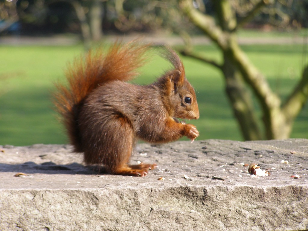 Натиснете снимката за да я уголемите

Име:P3315147.JPG
Прегледи:1
Размер:208.8 КБ
ID:5217914