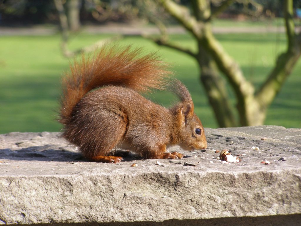 Натиснете снимката за да я уголемите

Име:P3315148.JPG
Прегледи:1
Размер:177.9 КБ
ID:5217915