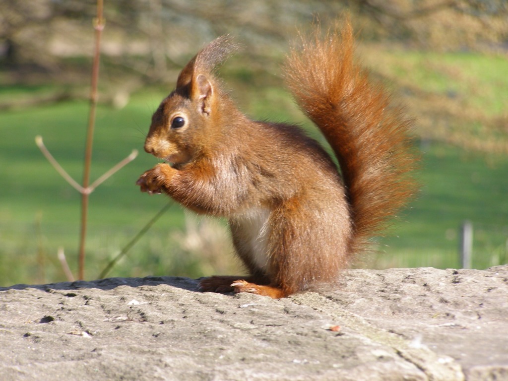 Натиснете снимката за да я уголемите

Име:P3315150.JPG
Прегледи:1
Размер:193.7 КБ
ID:5217917