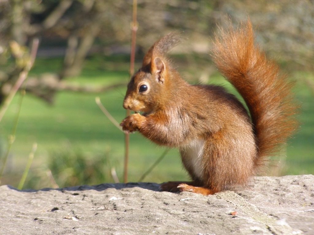 Натиснете снимката за да я уголемите

Име:P3315151.JPG
Прегледи:1
Размер:197.2 КБ
ID:5217918