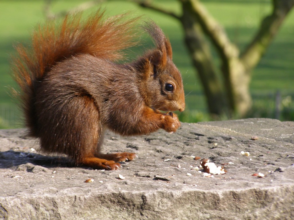 Натиснете снимката за да я уголемите

Име:P3315153.JPG
Прегледи:1
Размер:201.8 КБ
ID:5217919