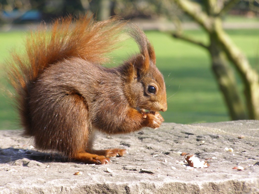 Натиснете снимката за да я уголемите

Име:P3315154.JPG
Прегледи:1
Размер:199.1 КБ
ID:5217920