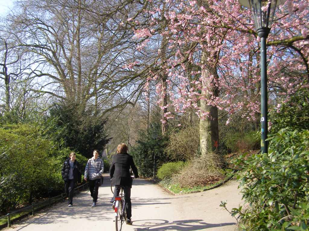 Натиснете снимката за да я уголемите

Име:P3315161.JPG
Прегледи:1
Размер:165.8 КБ
ID:5217922