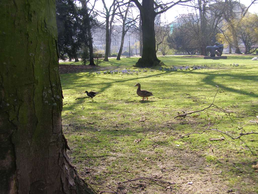 Натиснете снимката за да я уголемите

Име:P3315172.JPG
Прегледи:1
Размер:156.4 КБ
ID:5217924