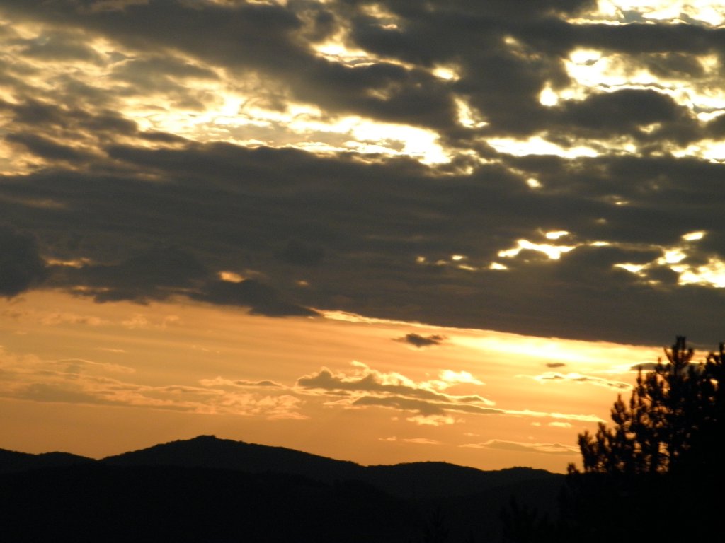 Натиснете снимката за да я уголемите

Име:PA020110.jpg
Прегледи:1
Размер:90.6 КБ
ID:5257791