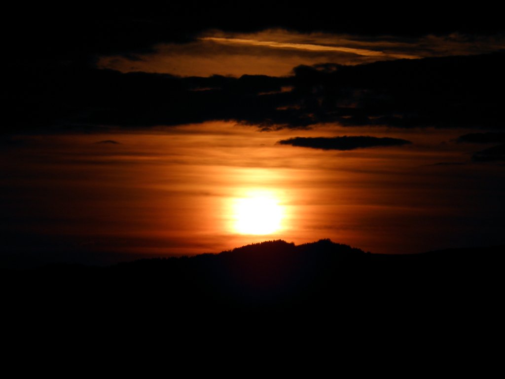 Натиснете снимката за да я уголемите

Име:PA020120.jpg
Прегледи:1
Размер:38.9 КБ
ID:5257789