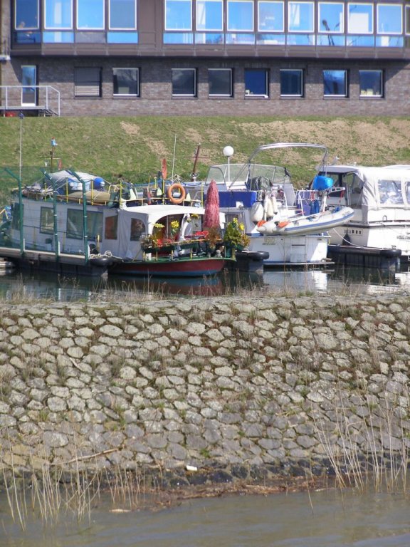 Натиснете снимката за да я уголемите

Име:P3315394.jpg
Прегледи:1
Размер:125.2 КБ
ID:5218080