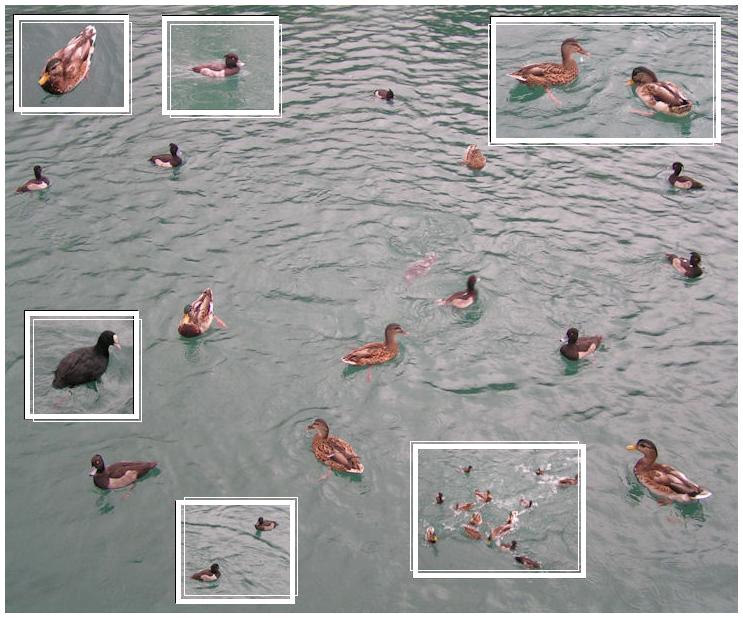 Натиснете снимката за да я уголемите

Име:PICT0e31.JPG
Прегледи:1
Размер:86.9 КБ
ID:5220383