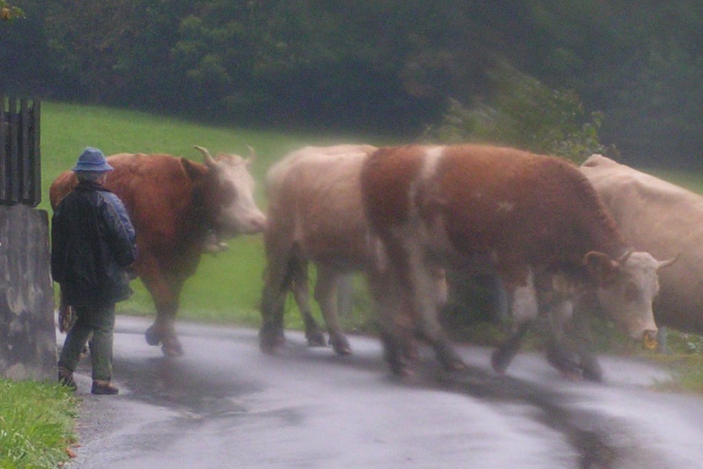 Натиснете снимката за да я уголемите

Име:PICT0e49.jpg
Прегледи:1
Размер:99.2 КБ
ID:5220407