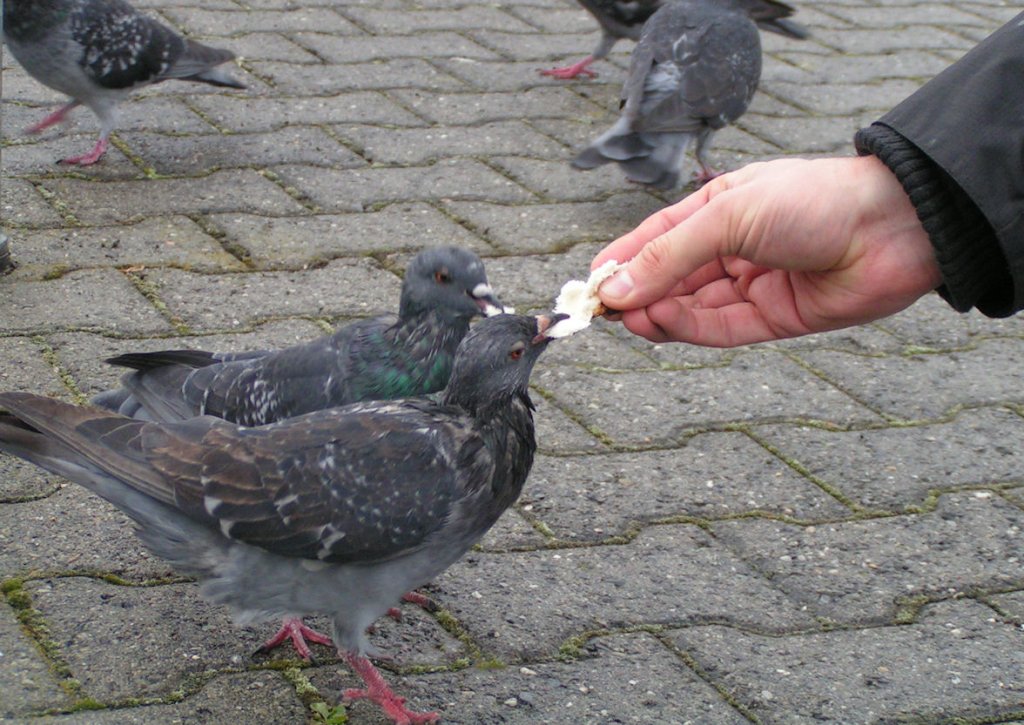 Натиснете снимката за да я уголемите

Име:PICT0e39.jpg
Прегледи:1
Размер:170.8 КБ
ID:5220387
