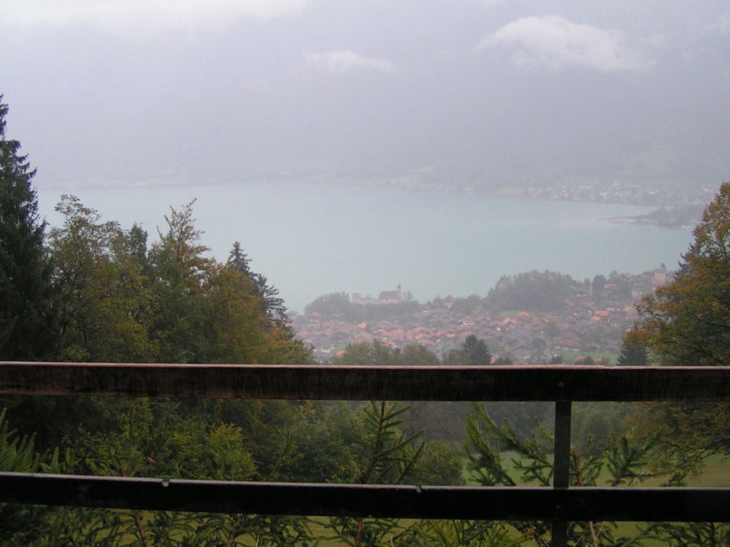 Натиснете снимката за да я уголемите

Име:PICT0e62.jpg
Прегледи:1
Размер:100.5 КБ
ID:5220397