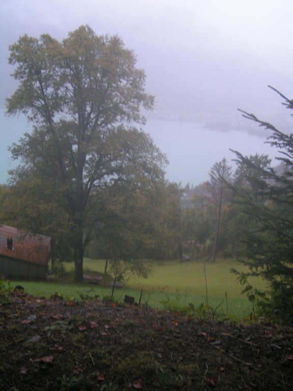 Натиснете снимката за да я уголемите

Име:PICT0e51.jpg
Прегледи:1
Размер:61.5 КБ
ID:5220399