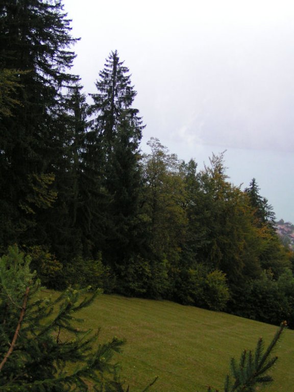 Натиснете снимката за да я уголемите

Име:PICT0e53.jpg
Прегледи:1
Размер:76.3 КБ
ID:5220416