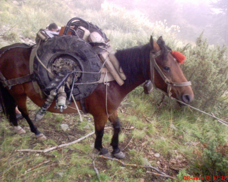 Натиснете снимката за да я уголемите

Име:DSC00026.jpg
Прегледи:3
Размер:151.5 КБ
ID:5374782