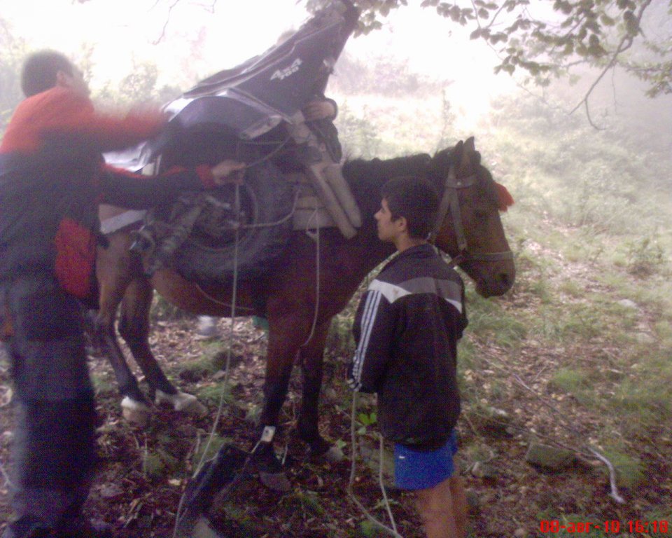 Натиснете снимката за да я уголемите

Име:DSC00018.jpg
Прегледи:3
Размер:146.2 КБ
ID:5374785