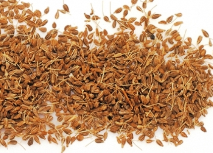 Натиснете снимката за да я уголемите

Име:spices-seeds-anise.jpg
Прегледи:1
Размер:152.5 КБ
ID:5904012