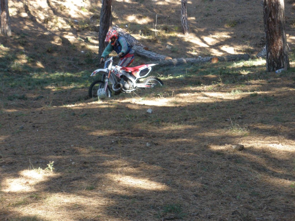 Натиснете снимката за да я уголемите

Име:PA310001.jpg
Прегледи:1
Размер:200.0 КБ
ID:5224558