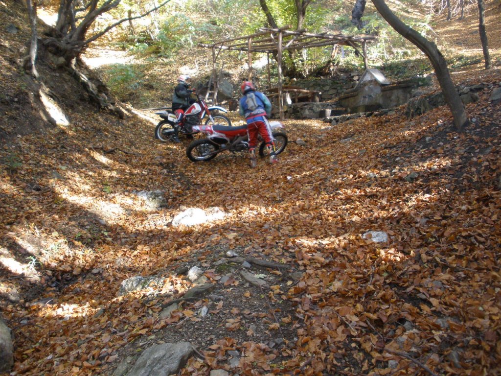 Натиснете снимката за да я уголемите

Име:PA310005.jpg
Прегледи:1
Размер:274.7 КБ
ID:5224562