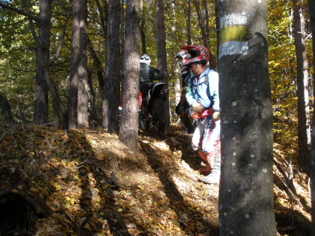 Натиснете снимката за да я уголемите

Име:PA310009.jpg
Прегледи:1
Размер:226.5 КБ
ID:5224565