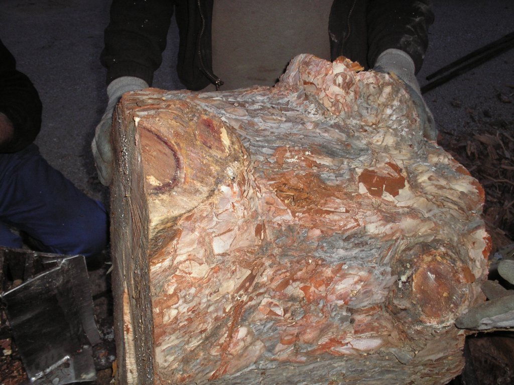 Натиснете снимката за да я уголемите

Име:PB110058.jpg
Прегледи:1
Размер:173.0 КБ
ID:5226421