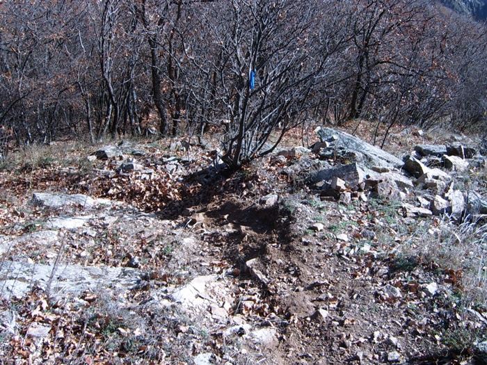 Натиснете снимката за да я уголемите

Име:11-2010-11.JPG
Прегледи:1
Размер:341.2 КБ
ID:5226734