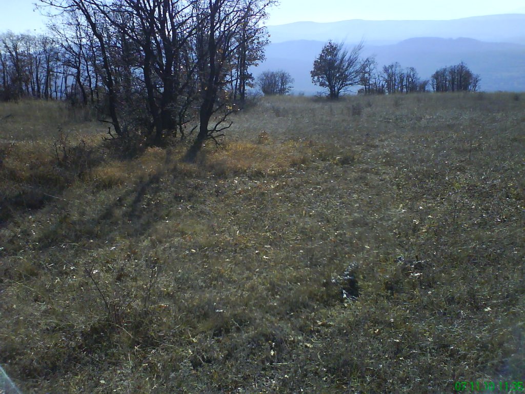 Натиснете снимката за да я уголемите

Име:DSC07956.jpg
Прегледи:1
Размер:213.0 КБ
ID:5229456