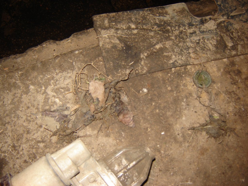 Натиснете снимката за да я уголемите

Име:DSC00072.jpg
Прегледи:1
Размер:148.4 КБ
ID:5233000