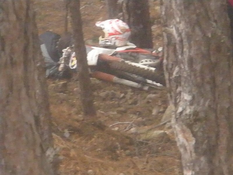 Натиснете снимката за да я уголемите

Име:PC240043.jpg
Прегледи:1
Размер:100.3 КБ
ID:5237827