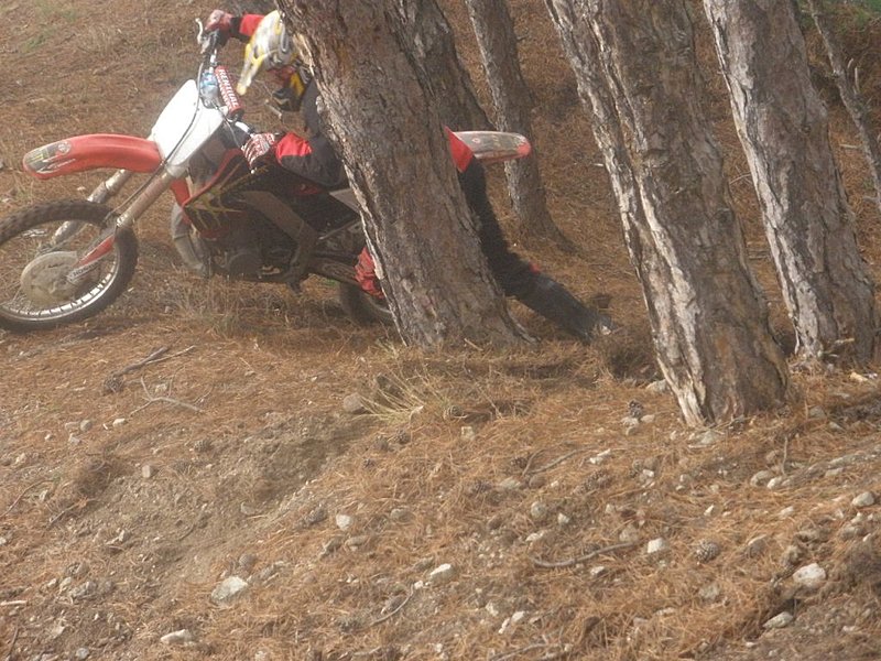 Натиснете снимката за да я уголемите

Име:PC240048.jpg
Прегледи:1
Размер:170.4 КБ
ID:5237834