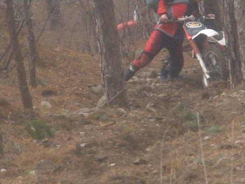 Натиснете снимката за да я уголемите

Име:PC240045.jpg
Прегледи:1
Размер:116.2 КБ
ID:5237828