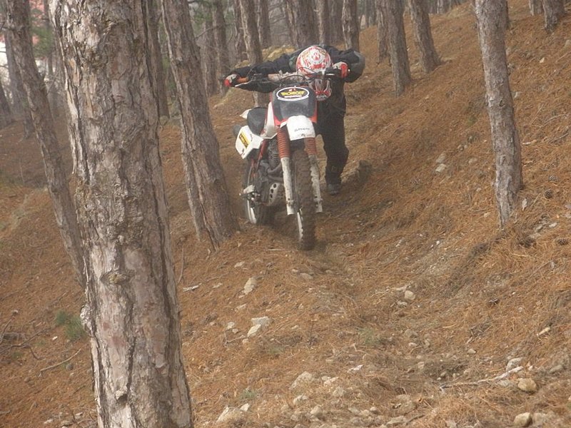 Натиснете снимката за да я уголемите

Име:PC240050.jpg
Прегледи:1
Размер:163.6 КБ
ID:5237841