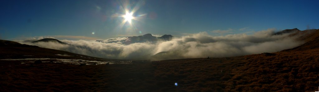 Натиснете снимката за да я уголемите

Име:3037538843_e1c668419a_o.jpg
Прегледи:1
Размер:35.0 КБ
ID:5240620
