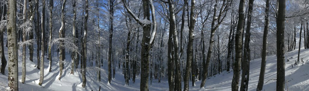 Натиснете снимката за да я уголемите

Име:panorama dermenka4 trees.jpg
Прегледи:1
Размер:113.4 КБ
ID:5246663