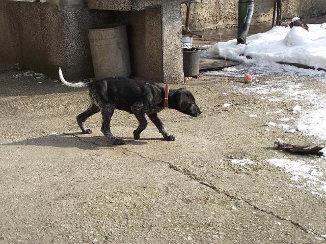Натиснете снимката за да я уголемите

Име:2011_01300020.JPG
Прегледи:1
Размер:126.4 КБ
ID:5249330
