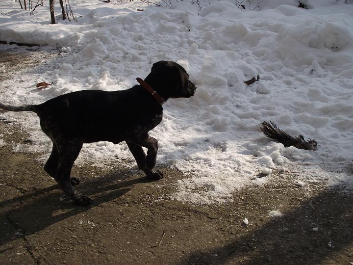 Натиснете снимката за да я уголемите

Име:2011_01300019.JPG
Прегледи:1
Размер:110.8 КБ
ID:5249331
